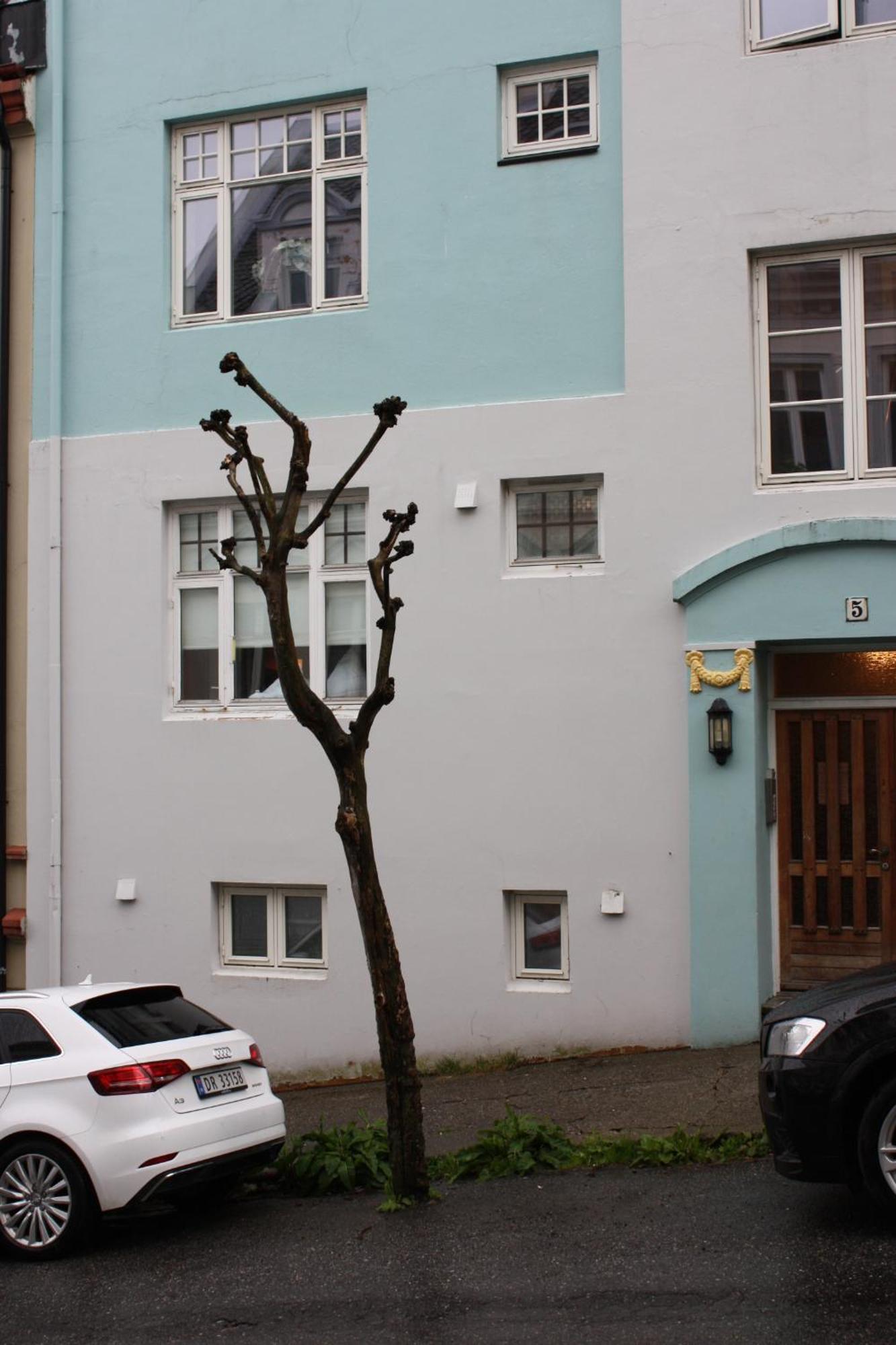 Eco Apartament W Ålesund Buitenkant foto